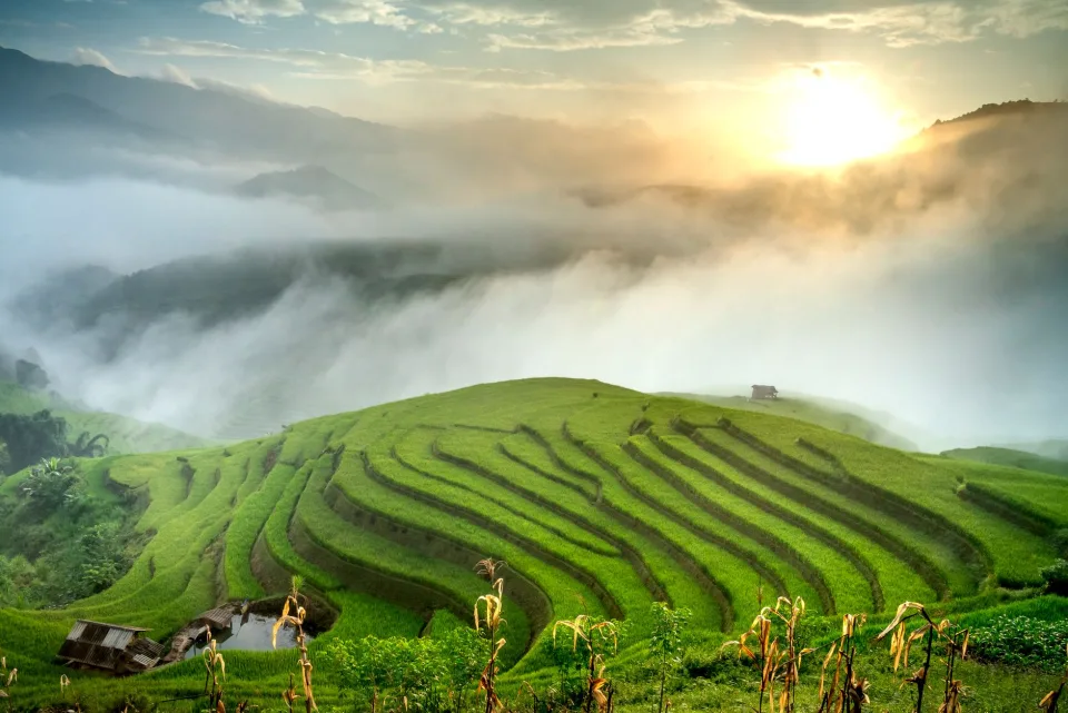 Kho gạo của Từ Quốc Hùng